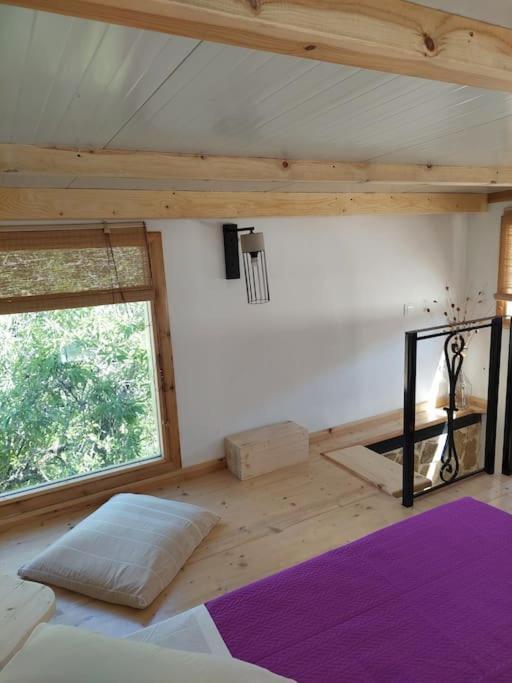 Afionas Das Gruene Haus Exteriér fotografie