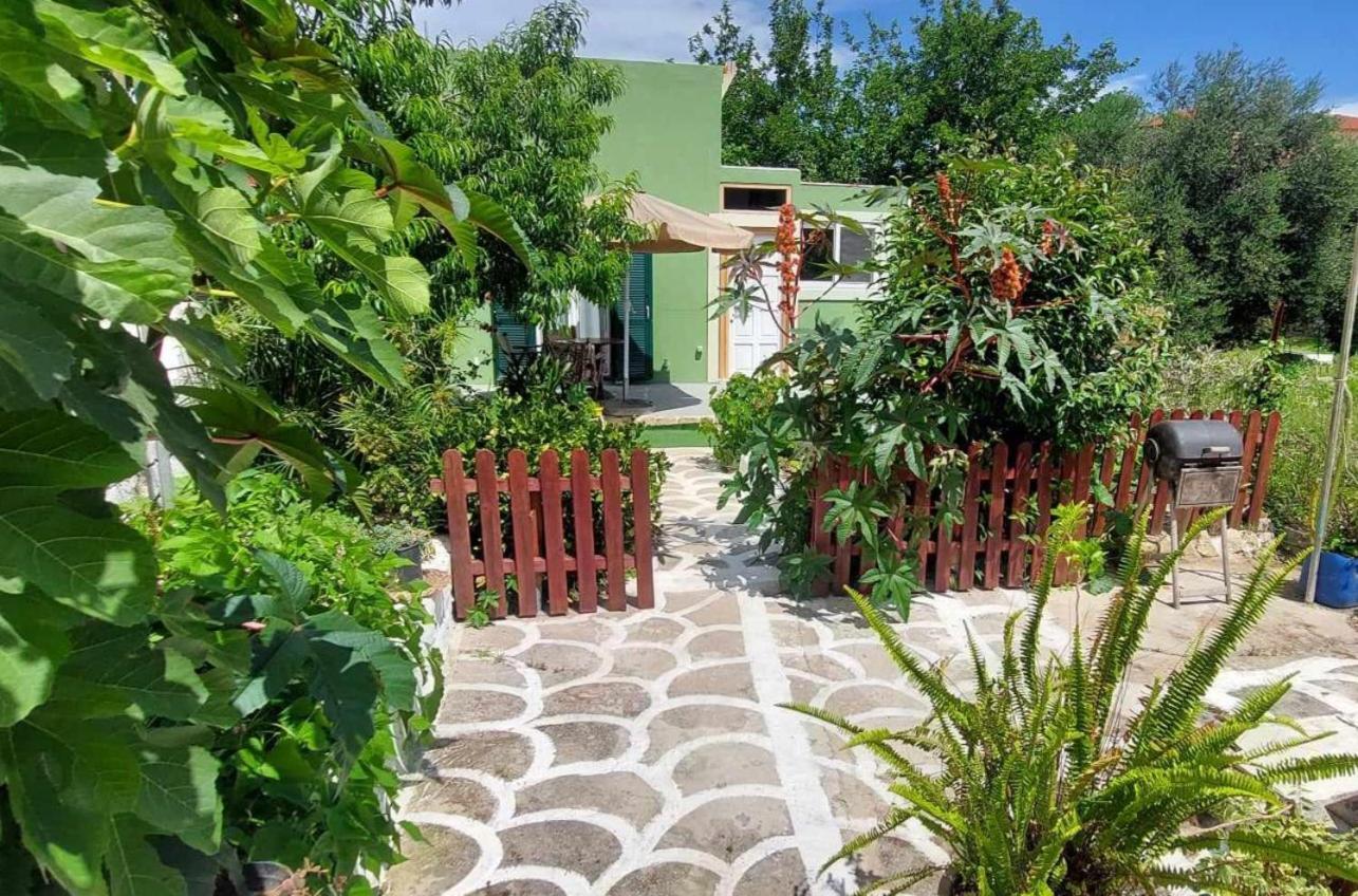 Afionas Das Gruene Haus Exteriér fotografie